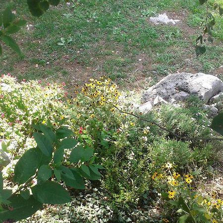 Guest House Rabenseifner - Opatija Jurdani Dış mekan fotoğraf