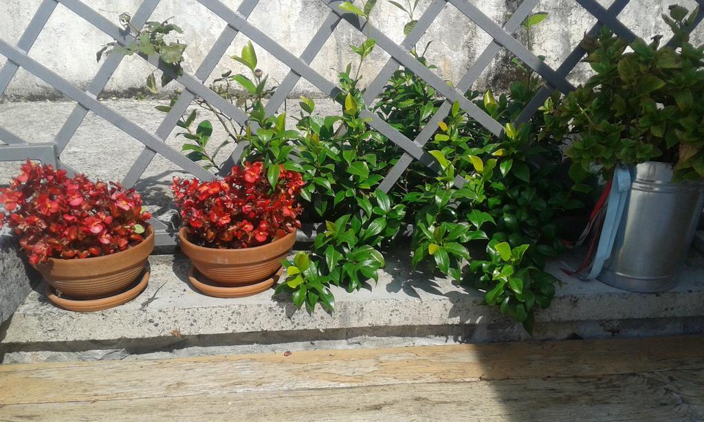 Guest House Rabenseifner - Opatija Jurdani Dış mekan fotoğraf